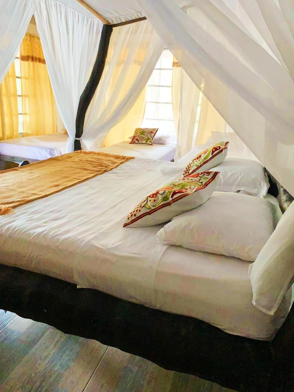 Villa Cata Hotel Ель-Зайно Екстер'єр фото